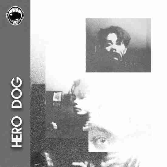 hero dog WEBSITE